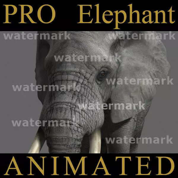 PRO Elephant Animated - 3d model 3D model_0