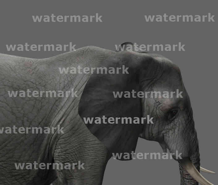 PRO Elephant Animated - 3d model 3D model_25