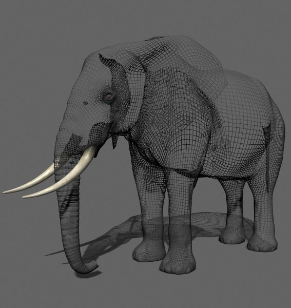 PRO Elephant Animated - 3d model 3D model_17