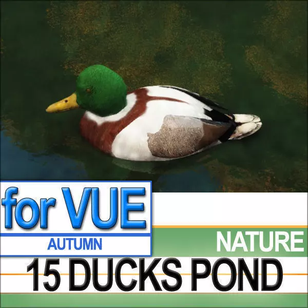 15 Ducks 15 Pond Ducks and Set 3D model
