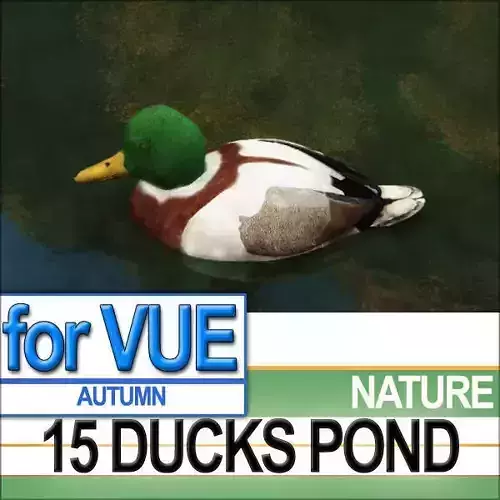 15 Ducks 15 Pond Ducks and Set 3D model