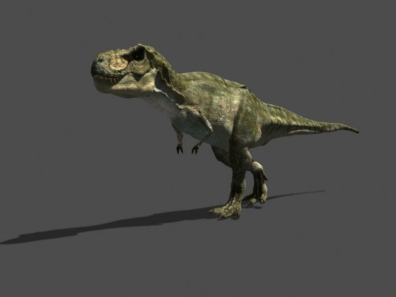MY SPECIAL DINOSAUR PACK - rex 3d model 3D model_124