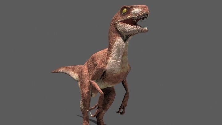 MY SPECIAL DINOSAUR PACK - rex 3d model 3D model_90
