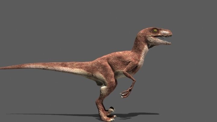 MY SPECIAL DINOSAUR PACK - rex 3d model 3D model_86