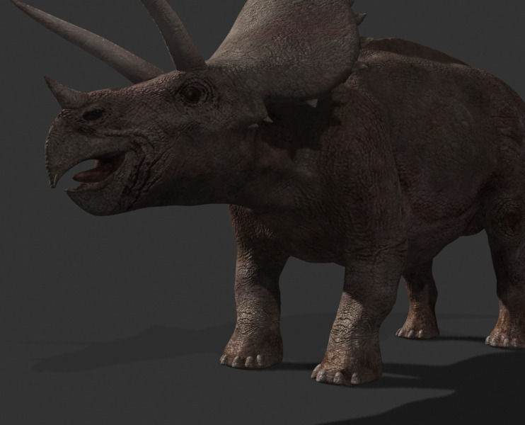 MY SPECIAL DINOSAUR PACK - rex 3d model 3D model_139