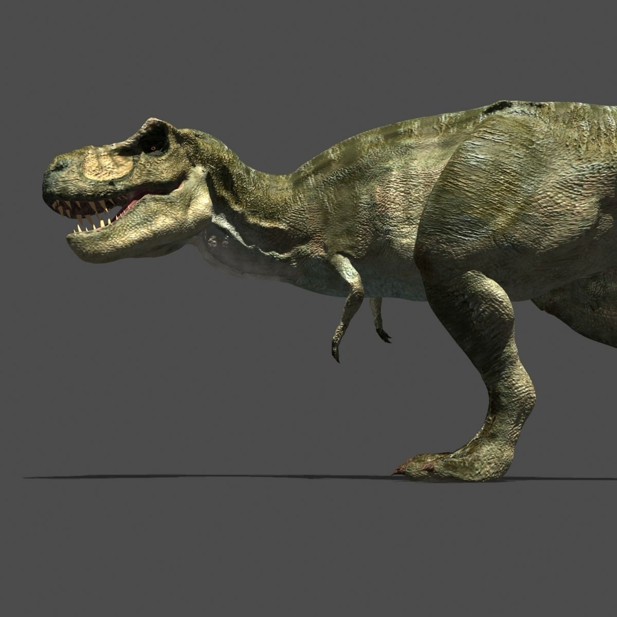 MY SPECIAL DINOSAUR PACK - rex 3d model 3D model_126