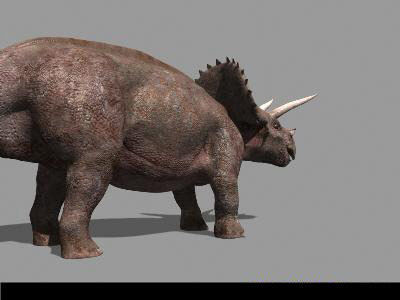 MY SPECIAL DINOSAUR PACK - rex 3d model 3D model_153