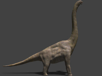 MY SPECIAL DINOSAUR PACK - rex 3d model 3D model_16