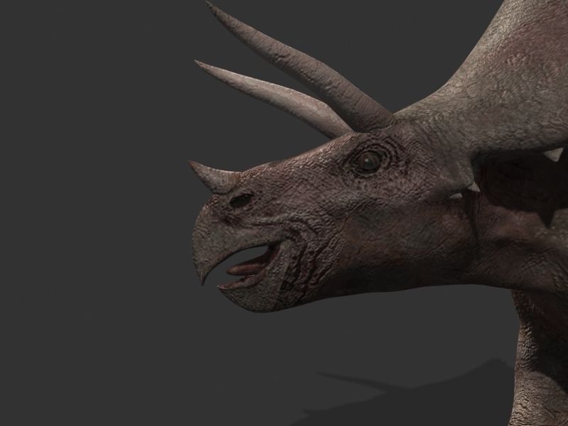 MY SPECIAL DINOSAUR PACK - rex 3d model 3D model_140