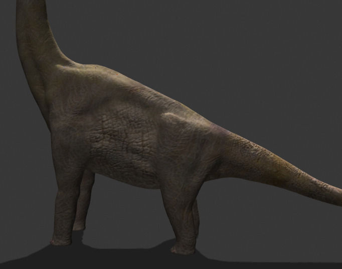 MY SPECIAL DINOSAUR PACK - rex 3d model 3D model_28