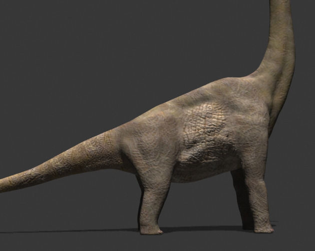 MY SPECIAL DINOSAUR PACK - rex 3d model 3D model_25