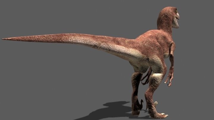 MY SPECIAL DINOSAUR PACK - rex 3d model 3D model_87