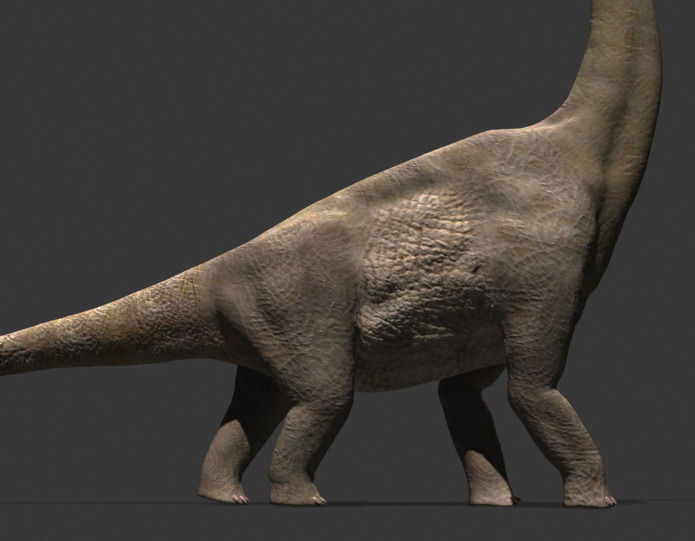 MY SPECIAL DINOSAUR PACK - rex 3d model 3D model_33