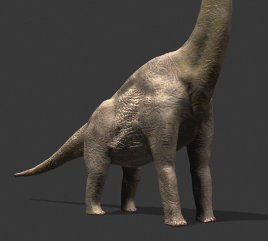 MY SPECIAL DINOSAUR PACK - rex 3d model 3D model_32