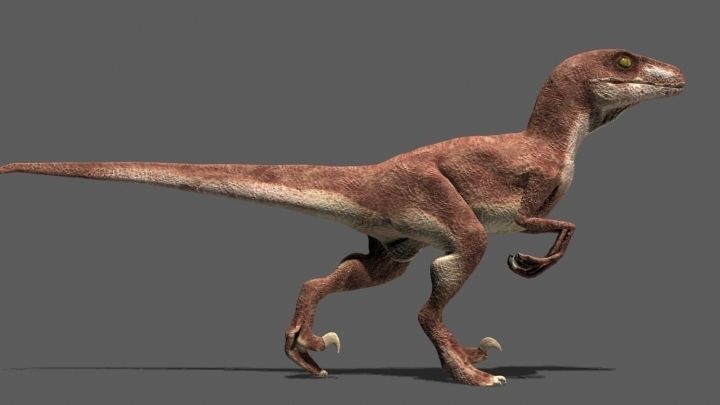 MY SPECIAL DINOSAUR PACK - rex 3d model 3D model_97