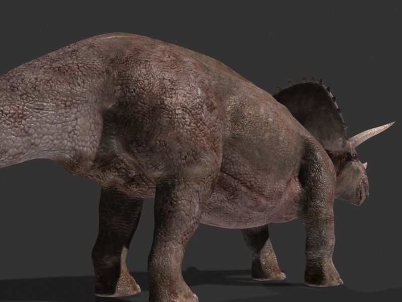 MY SPECIAL DINOSAUR PACK - rex 3d model 3D model_151