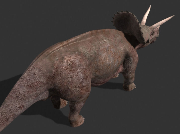 MY SPECIAL DINOSAUR PACK - rex 3d model 3D model_143