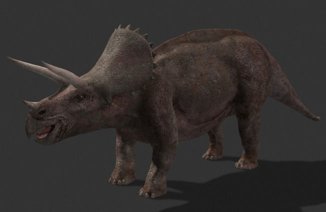 MY SPECIAL DINOSAUR PACK - rex 3d model 3D model_128