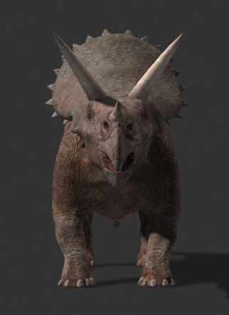 MY SPECIAL DINOSAUR PACK - rex 3d model 3D model_144