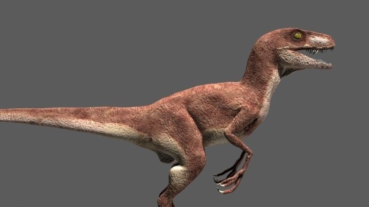 MY SPECIAL DINOSAUR PACK - rex 3d model 3D model_88