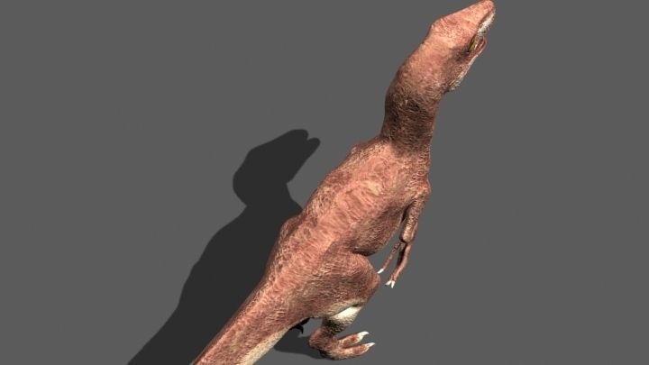 MY SPECIAL DINOSAUR PACK - rex 3d model 3D model_91
