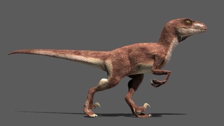 MY SPECIAL DINOSAUR PACK - rex 3d model 3D model_96