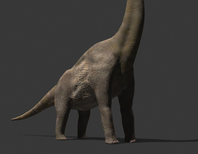 MY SPECIAL DINOSAUR PACK - rex 3d model 3D model_26