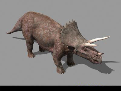 MY SPECIAL DINOSAUR PACK - rex 3d model 3D model_154
