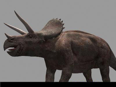 MY SPECIAL DINOSAUR PACK - rex 3d model 3D model_134