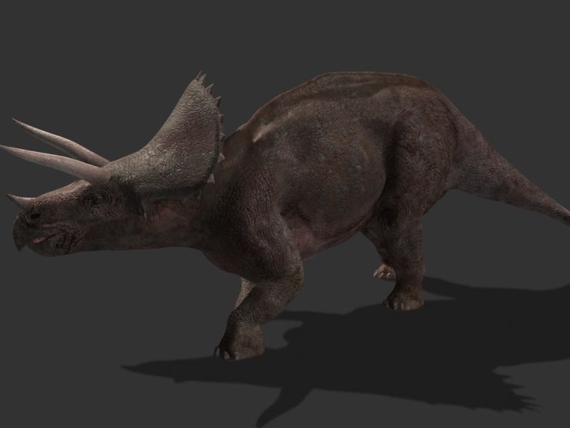 MY SPECIAL DINOSAUR PACK - rex 3d model 3D model_147