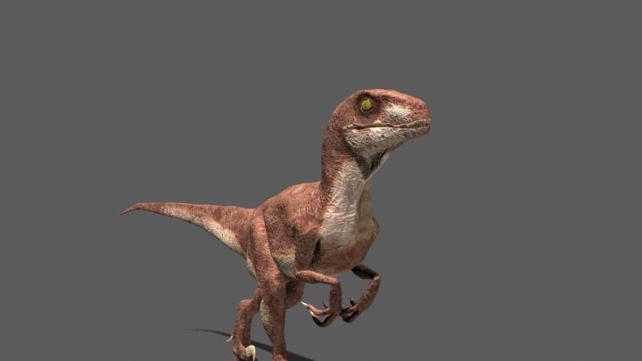 MY SPECIAL DINOSAUR PACK - rex 3d model 3D model_98