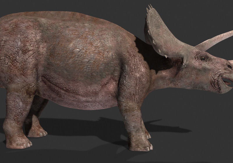 MY SPECIAL DINOSAUR PACK - rex 3d model 3D model_130