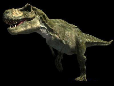 MY SPECIAL DINOSAUR PACK - rex 3d model 3D model_112