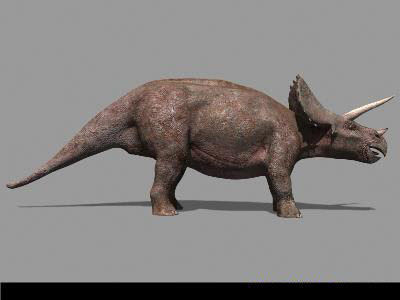 MY SPECIAL DINOSAUR PACK - rex 3d model 3D model_148