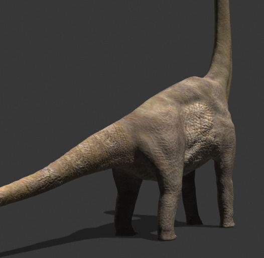 MY SPECIAL DINOSAUR PACK - rex 3d model 3D model_23