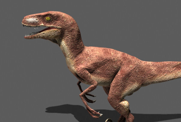 MY SPECIAL DINOSAUR PACK - rex 3d model 3D model_99