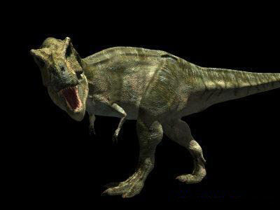 MY SPECIAL DINOSAUR PACK - rex 3d model 3D model_111