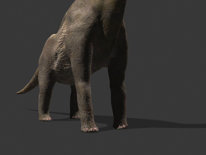 MY SPECIAL DINOSAUR PACK - rex 3d model 3D model_34