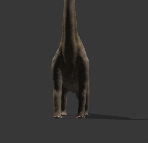 MY SPECIAL DINOSAUR PACK - rex 3d model 3D model_30