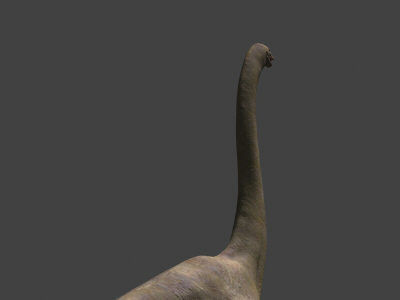 MY SPECIAL DINOSAUR PACK - rex 3d model 3D model_13