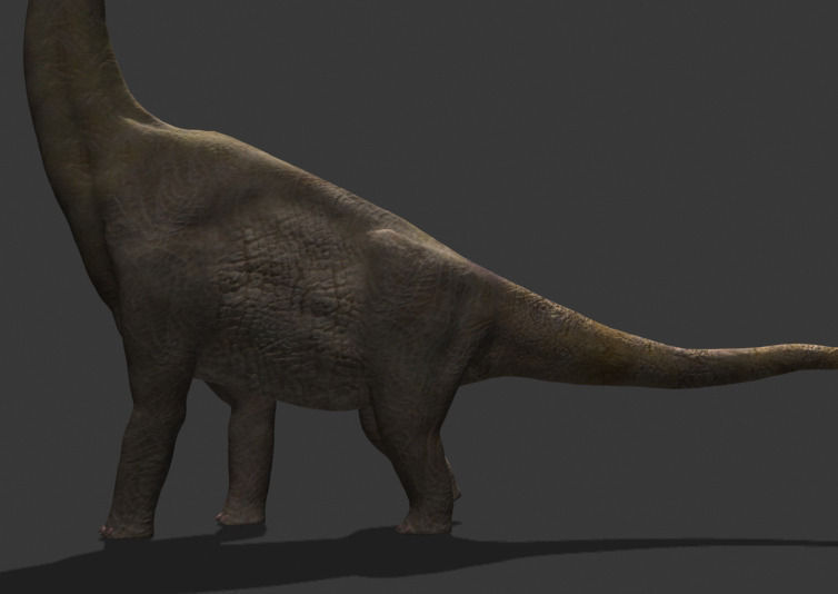 MY SPECIAL DINOSAUR PACK - rex 3d model 3D model_27