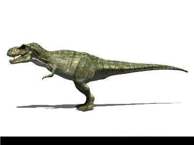 MY SPECIAL DINOSAUR PACK - rex 3d model 3D model_122