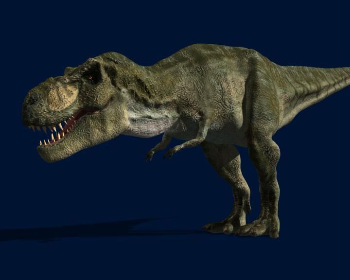 MY SPECIAL DINOSAUR PACK - rex 3d model 3D model_103