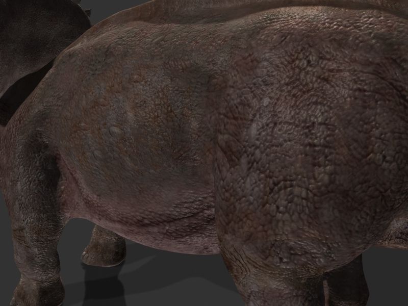 MY SPECIAL DINOSAUR PACK - rex 3d model 3D model_156