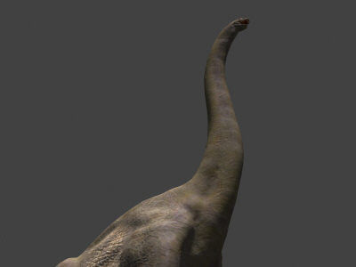 MY SPECIAL DINOSAUR PACK - rex 3d model 3D model_12