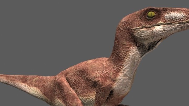 MY SPECIAL DINOSAUR PACK - rex 3d model 3D model_95