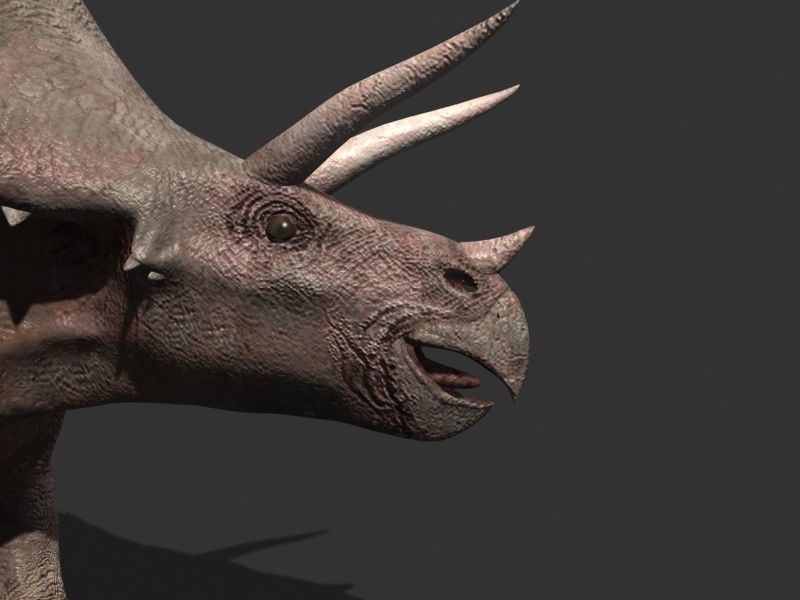 MY SPECIAL DINOSAUR PACK - rex 3d model 3D model_141