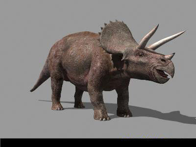 MY SPECIAL DINOSAUR PACK - rex 3d model 3D model_149