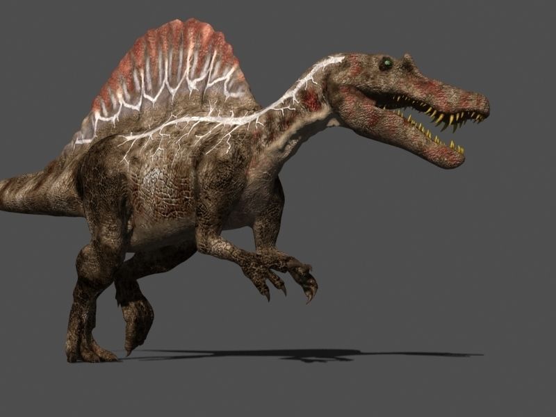 MY SPECIAL DINOSAUR PACK - rex 3d model 3D model_66