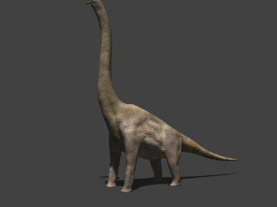 MY SPECIAL DINOSAUR PACK - rex 3d model 3D model_19